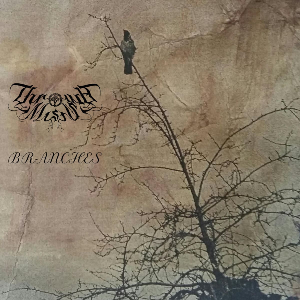 Through Mists — Branches cover