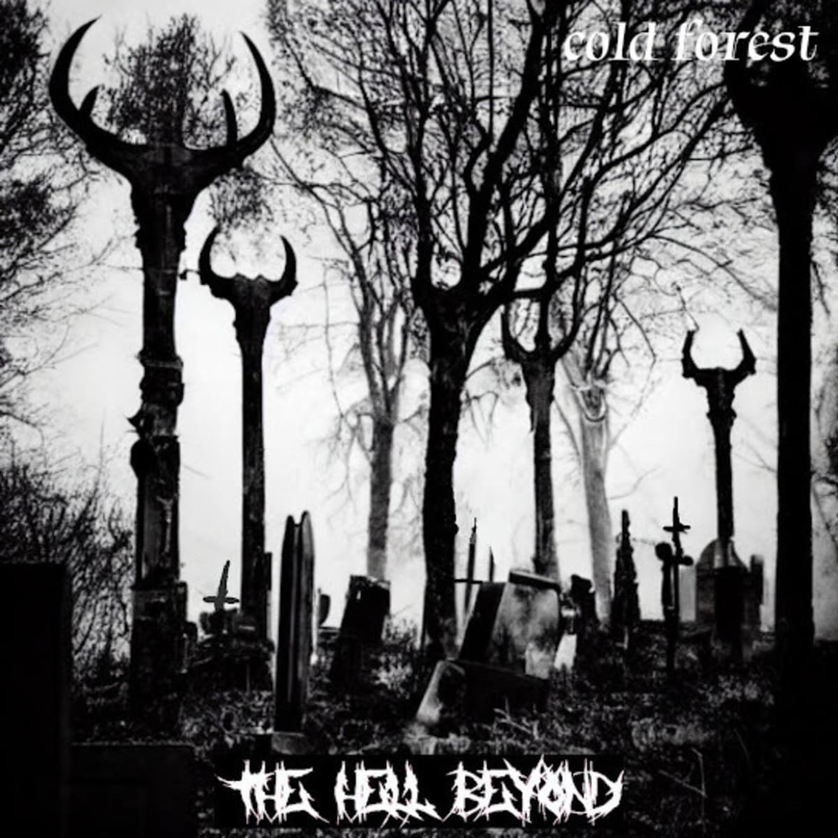 The Hell Beyond — Cold Forest cover