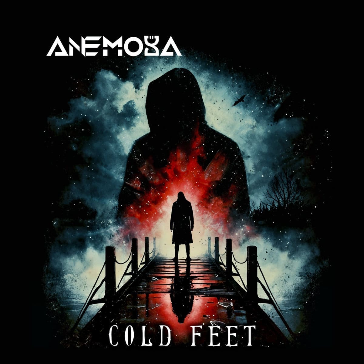 Anemoya — Cold Feet cover