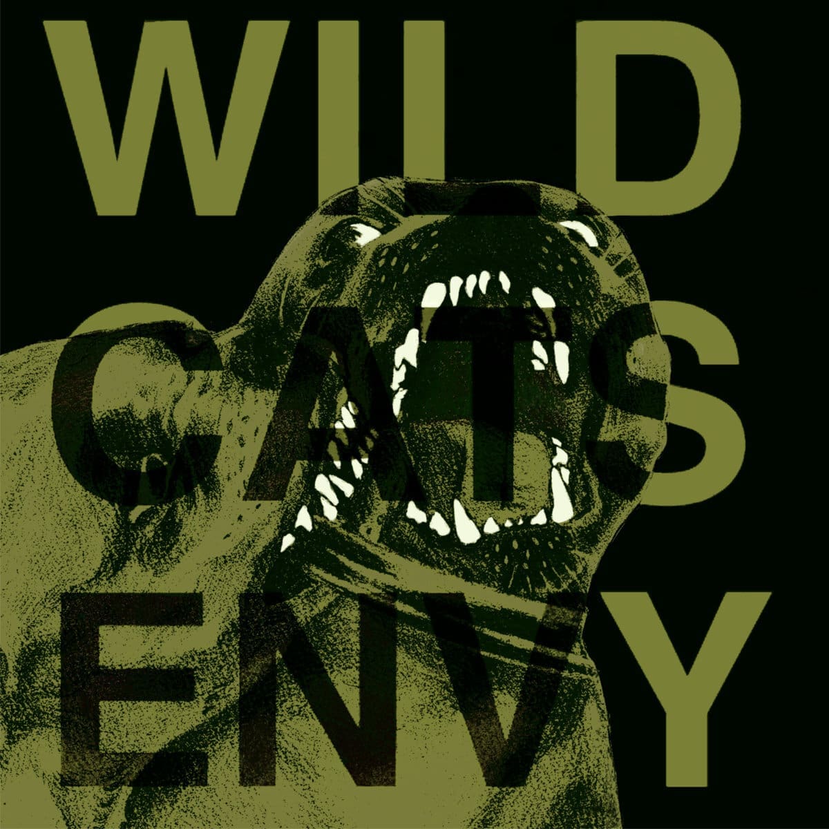 Wild Cats — Envy cover