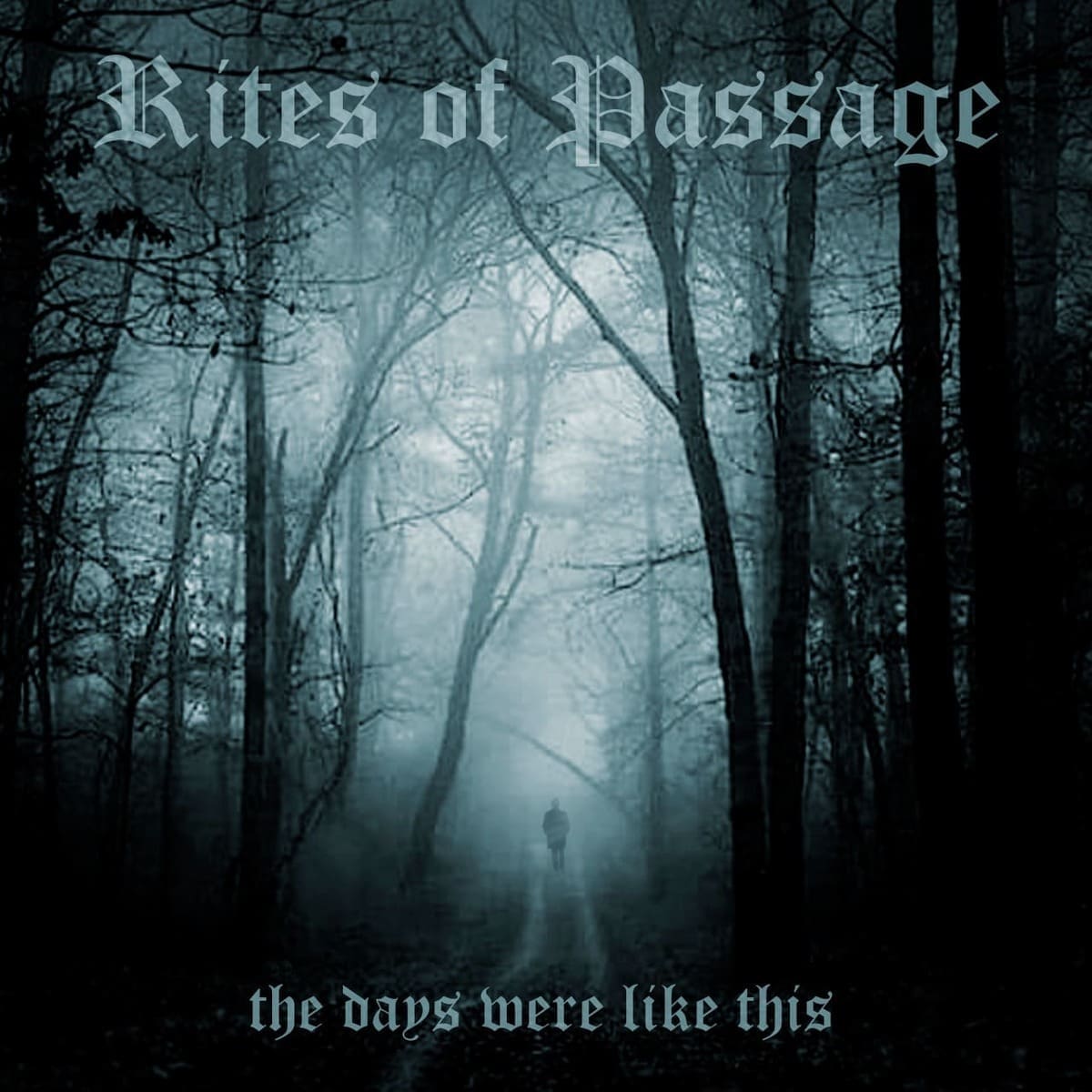 Rites Of Passage — The Days Were Like This album cover