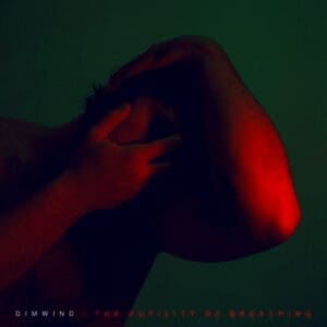 Dimwind — The Futility Of Breathing Review