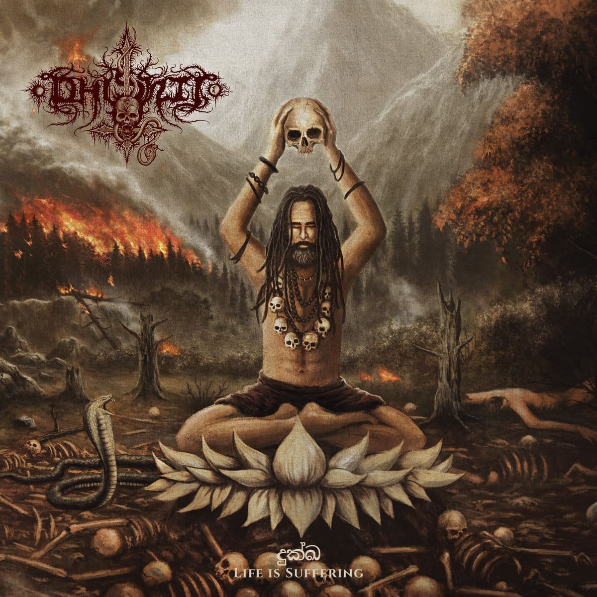 Dhishti — Life Is Suffering album cover