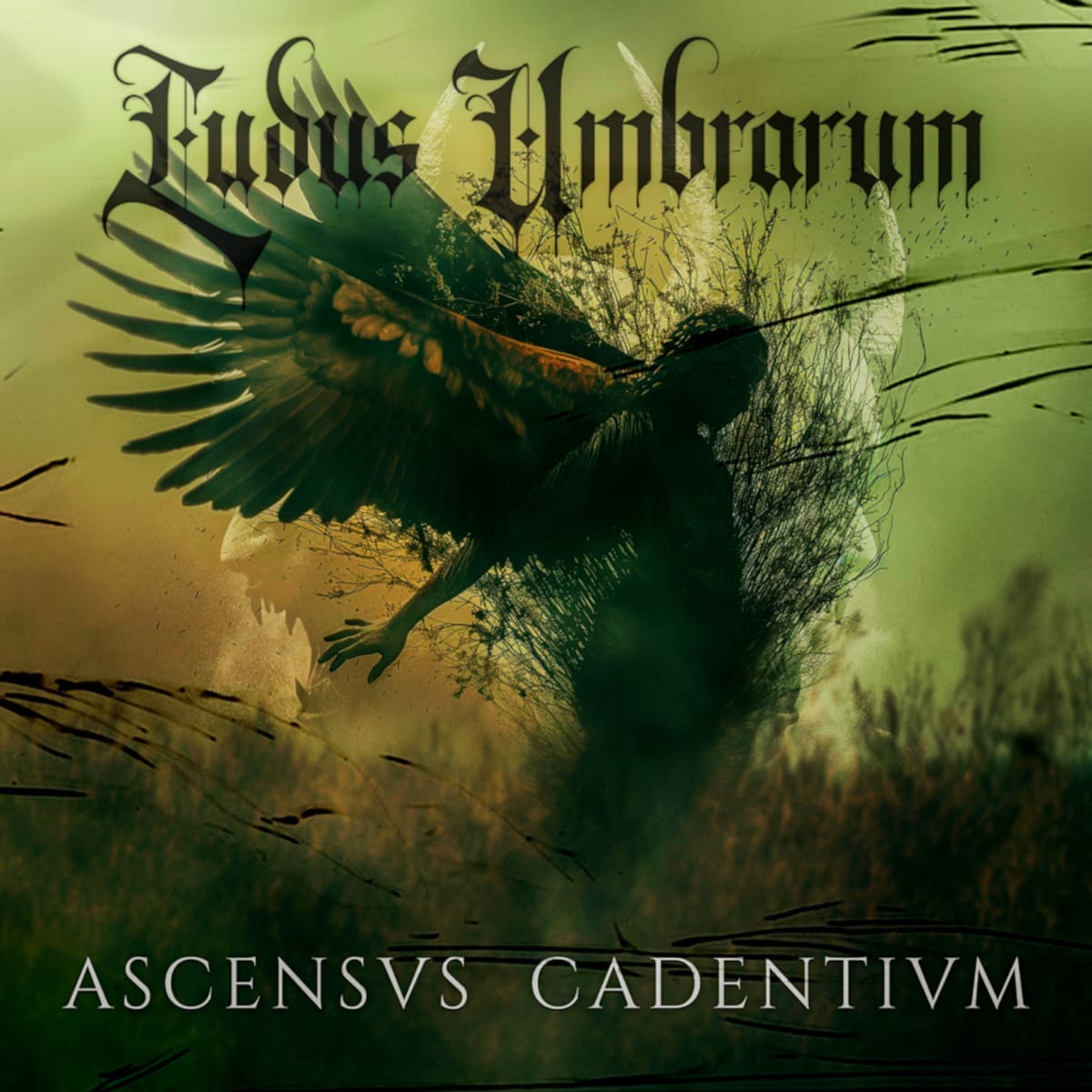 Ludus Umbrarum — Ascensus Cadentium album cover