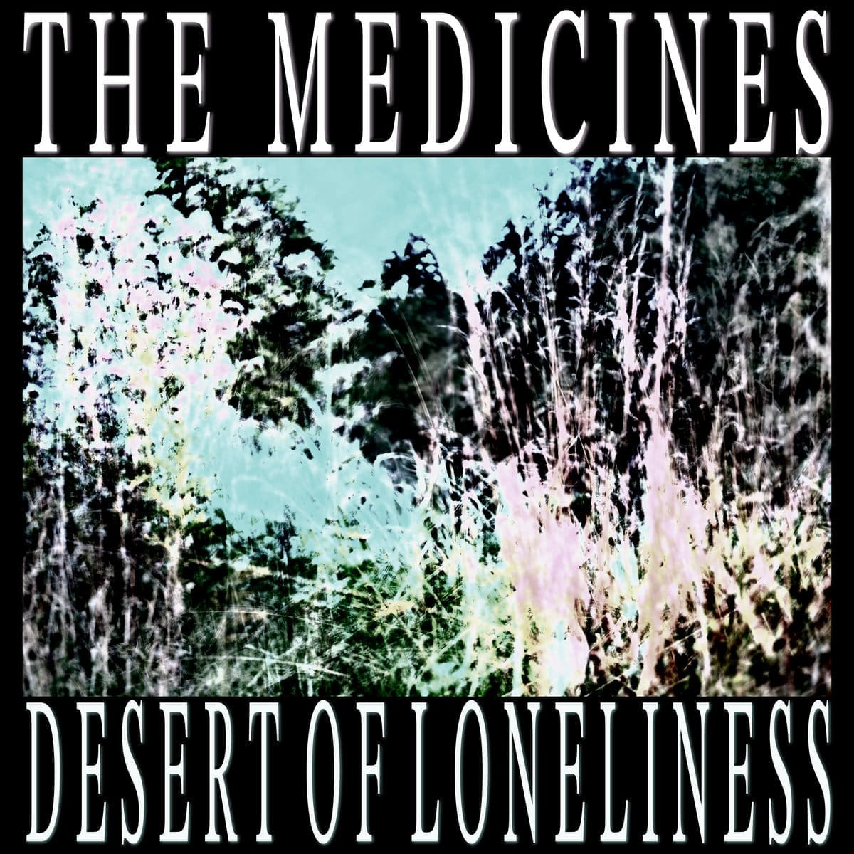 The Medicines — Desert of Loneliness album cover