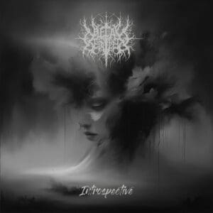 Bleak Serenity – Introspective Review