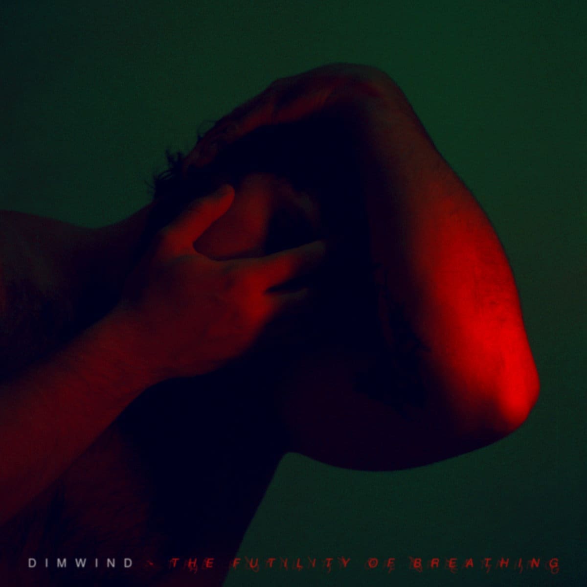Dimwind — The Futility Of Breathing album cover