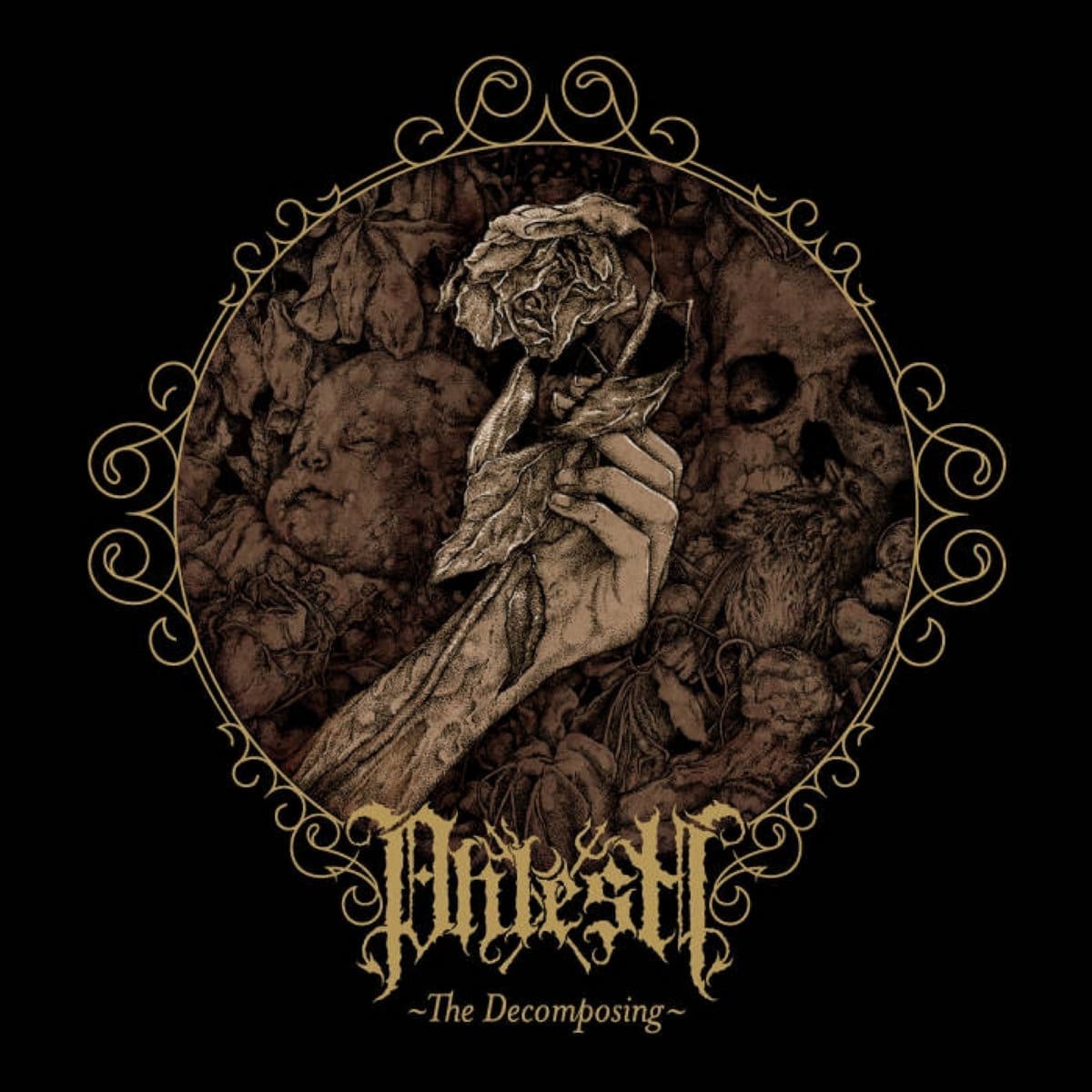 Phlesh — The Decomposing cover