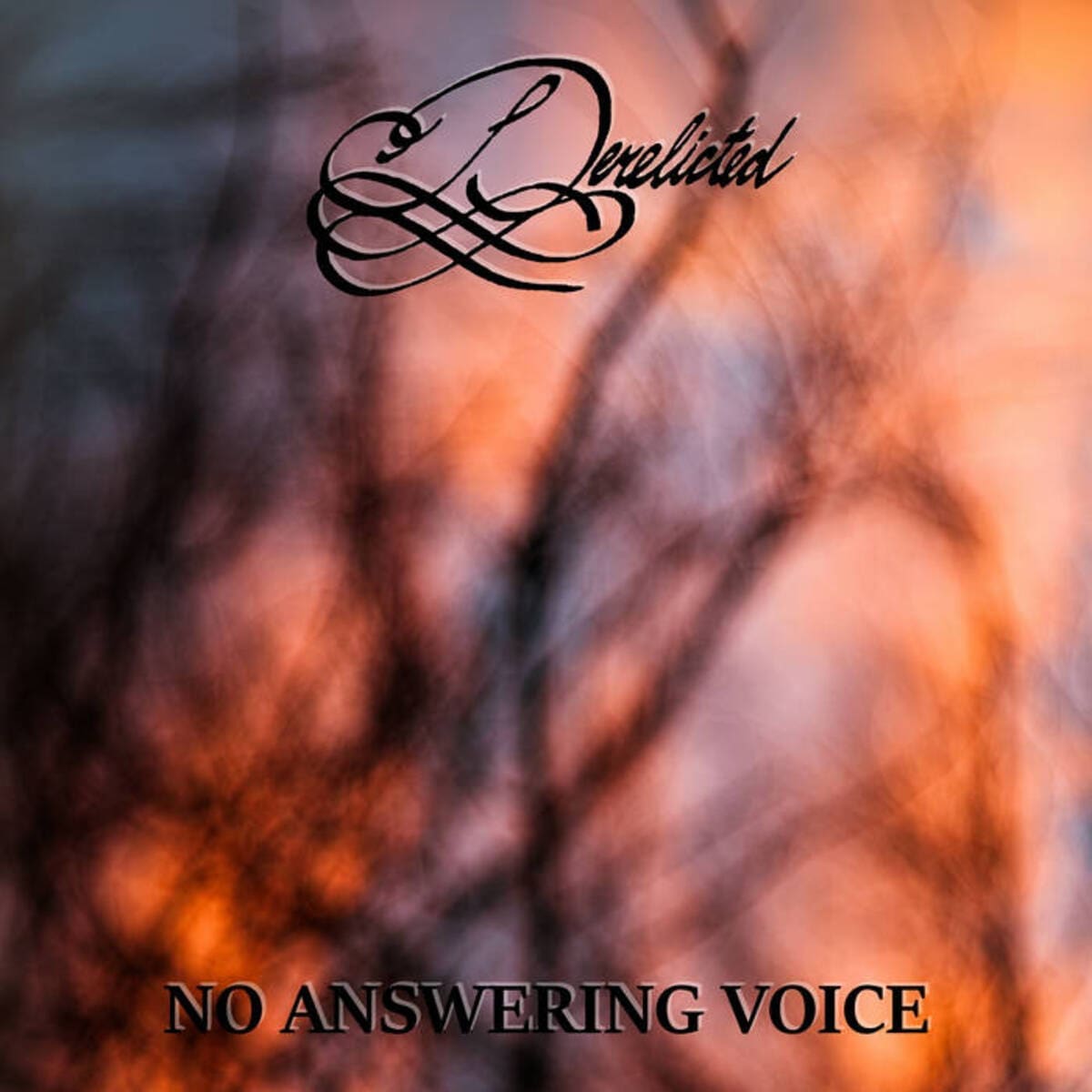 Derelicted — No Answering Voice album cover